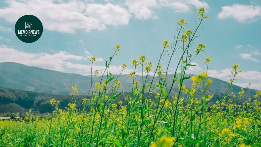 Travel & Nature Photography